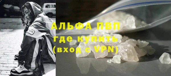сатива Гусев