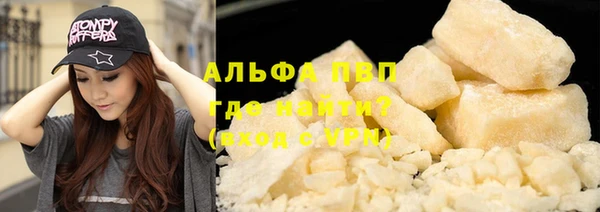 сатива Гусев