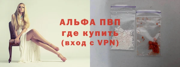 сатива Гусев