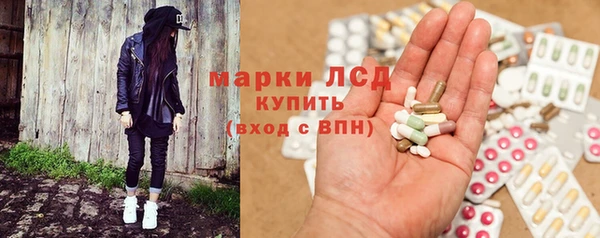 сатива Гусев