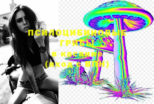синтетический гашиш Гусь-Хрустальный
