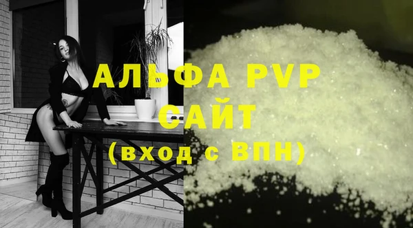 сатива Гусев