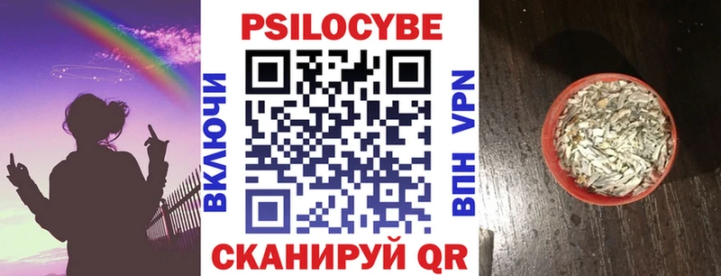 где продают   Духовщина  Галлюциногенные грибы прущие грибы 